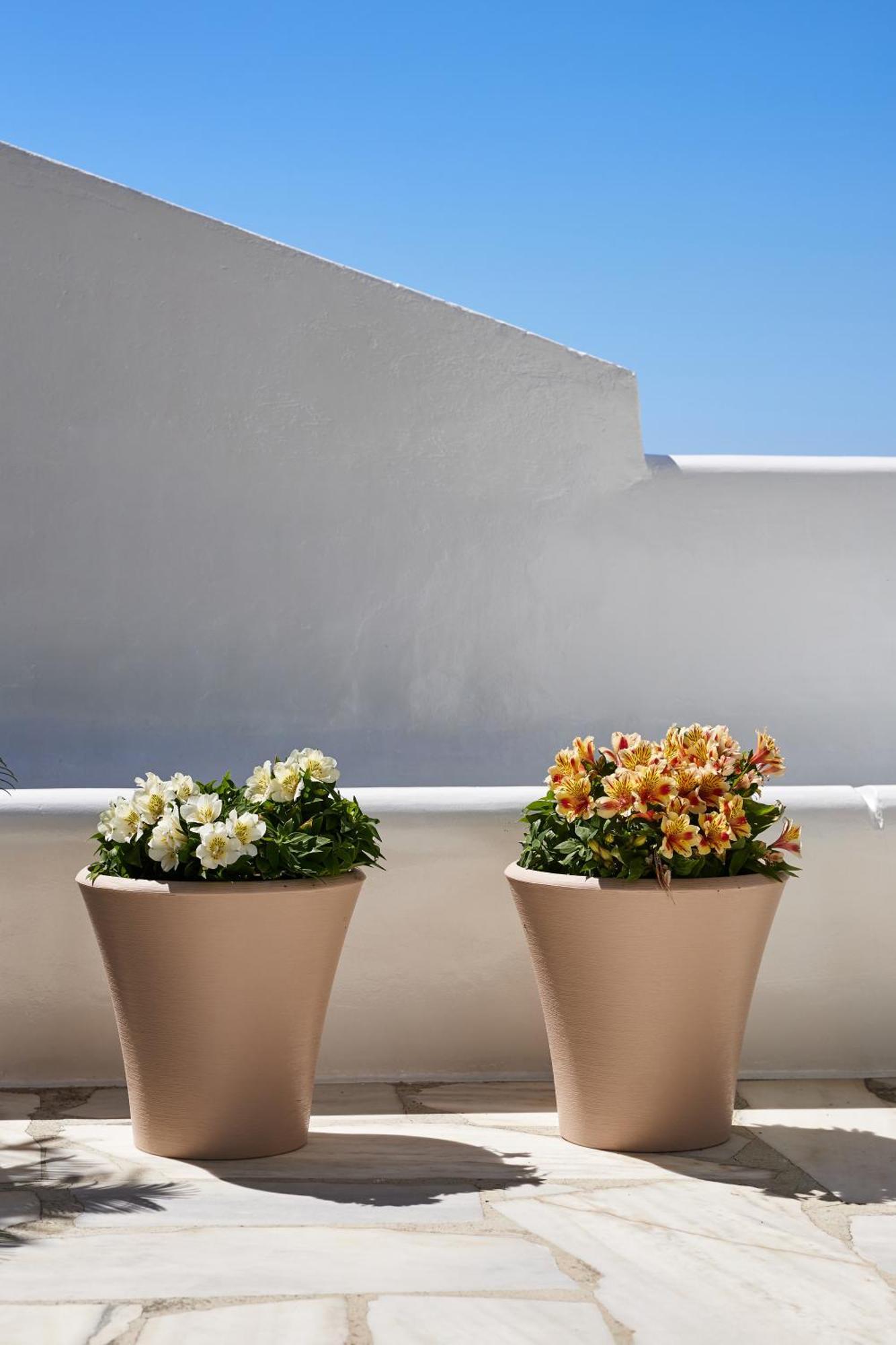 Sand Lily Villa Mykonos Mykonos Town Екстериор снимка